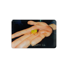 Afbeelding in Gallery-weergave laden, POLAR SKATE CO. - &quot;FROG&quot; MAGNET
