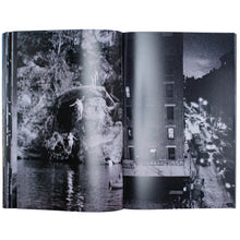 Afbeelding in Gallery-weergave laden, PRINCE STREET BY JASON DILL
